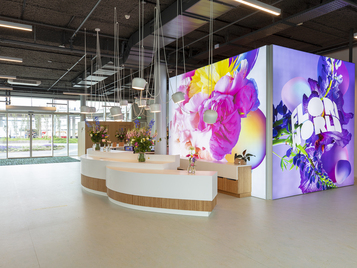 Lichtgrijze Marmoleum splash vloer rondom ontvangstbalie Floriworld